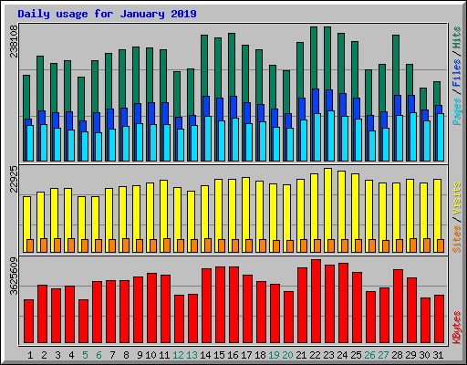 Daily usage for January 2019