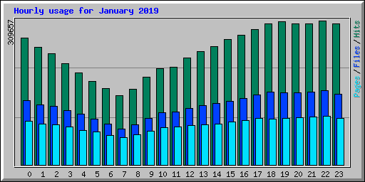 Hourly usage for January 2019