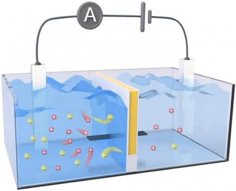 Batería energizada por el encuentro entre agua dulce y salada