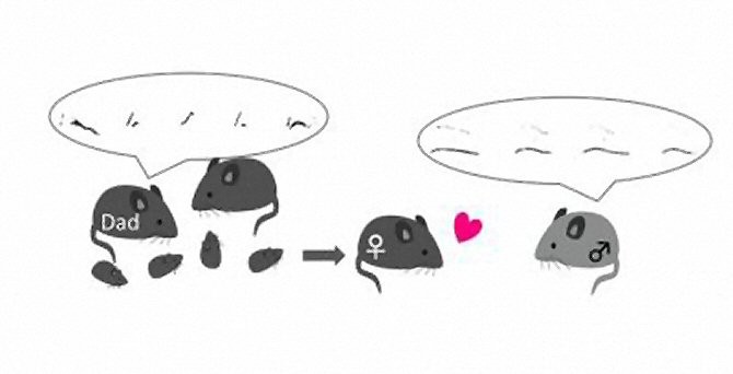 [Img #18981]